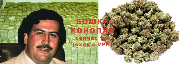 экстази Арсеньев