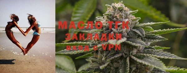стаф Касимов