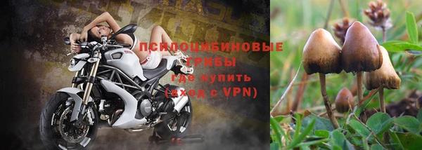мет Карталы