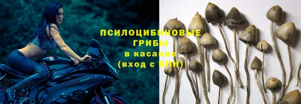 дживик Армянск