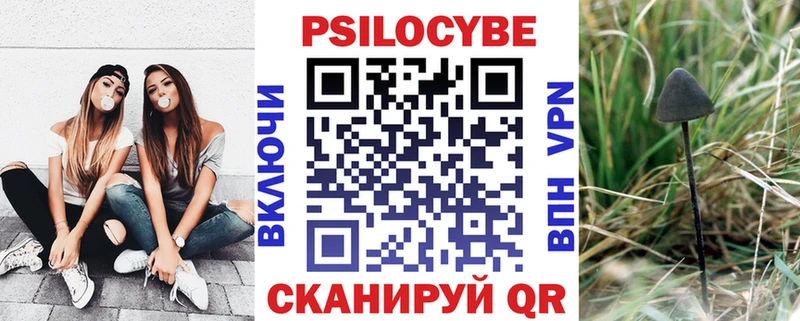 Псилоцибиновые грибы Psilocybe  Зуевка 