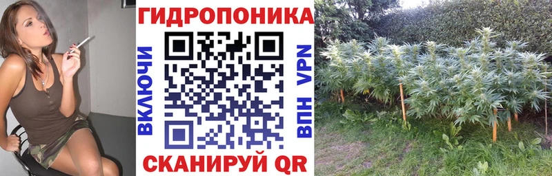 Марихуана White Widow Зуевка